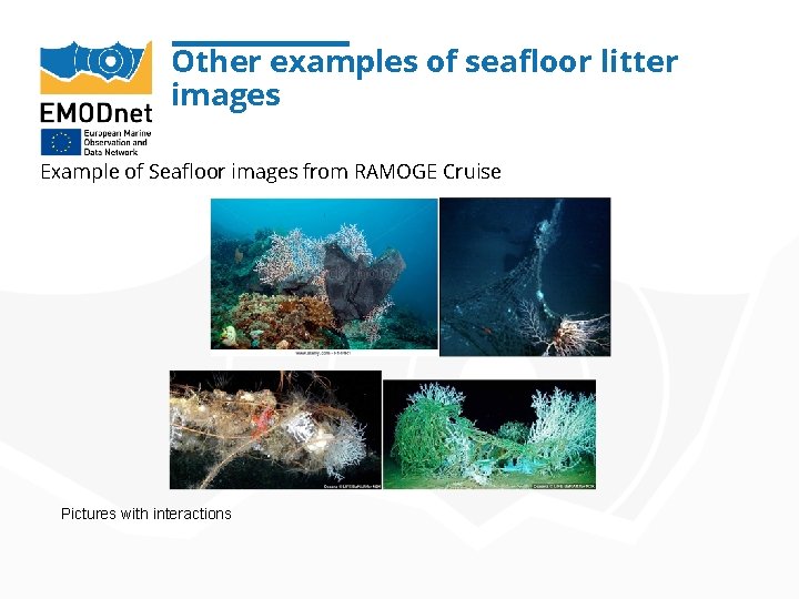 Other examples of seafloor litter images Example of Seafloor images from RAMOGE Cruise Pictures