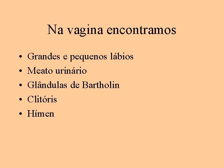 Na vagina encontramos • • • Grandes e pequenos lábios Meato urinário Glândulas de