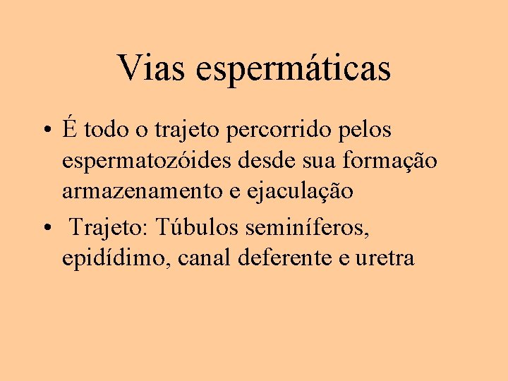 Vias espermáticas • É todo o trajeto percorrido pelos espermatozóides desde sua formação armazenamento