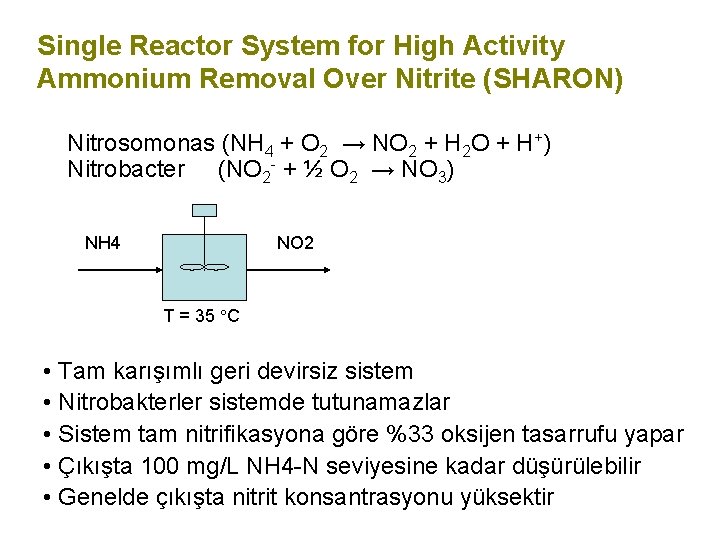 Single Reactor System for High Activity Ammonium Removal Over Nitrite (SHARON) Nitrosomonas (NH 4