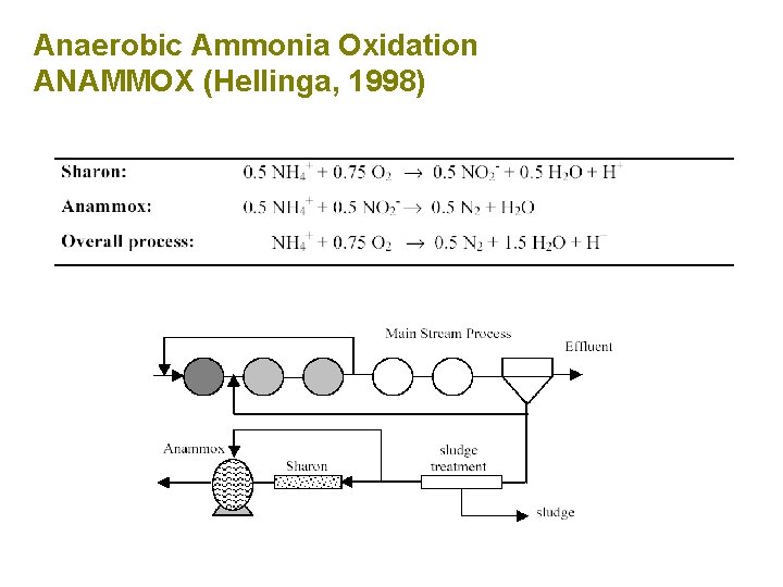 Anaerobic Ammonia Oxidation ANAMMOX (Hellinga, 1998) 