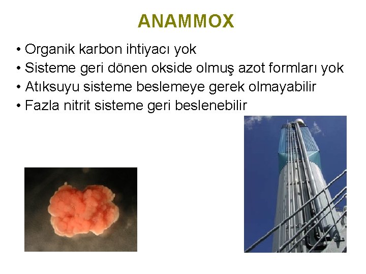 ANAMMOX • Organik karbon ihtiyacı yok • Sisteme geri dönen okside olmuş azot formları