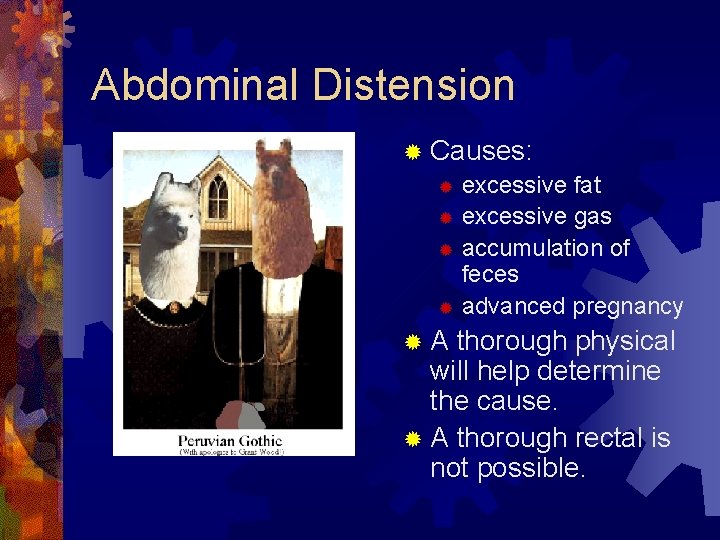 Abdominal Distension ® Causes: ® excessive fat ® excessive gas ® accumulation of feces