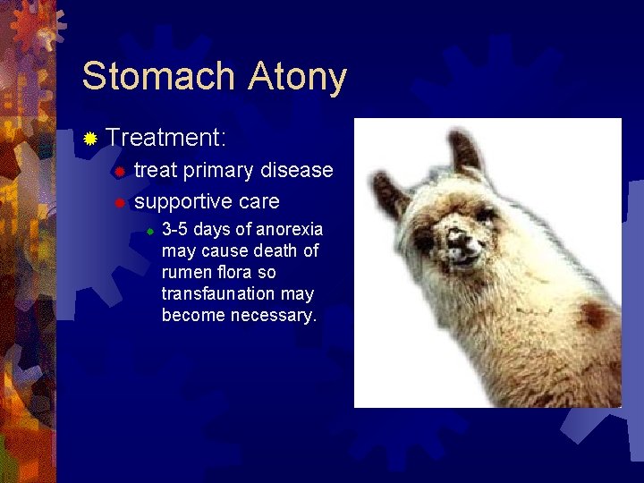 Stomach Atony ® Treatment: treat primary disease ® supportive care ® ® 3 -5