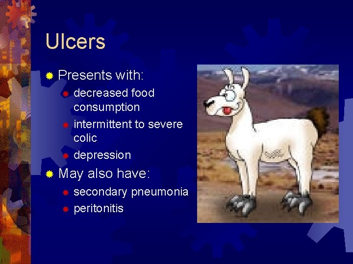 Ulcers ® Presents with: decreased food consumption ® intermittent to severe colic ® depression