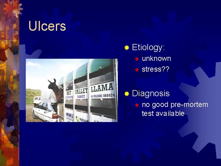 Ulcers ® Etiology: unknown ® stress? ? ® ® Diagnosis ® no good pre-mortem