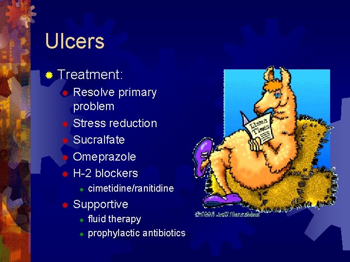 Ulcers ® Treatment: Resolve primary problem ® Stress reduction ® Sucralfate ® Omeprazole ®