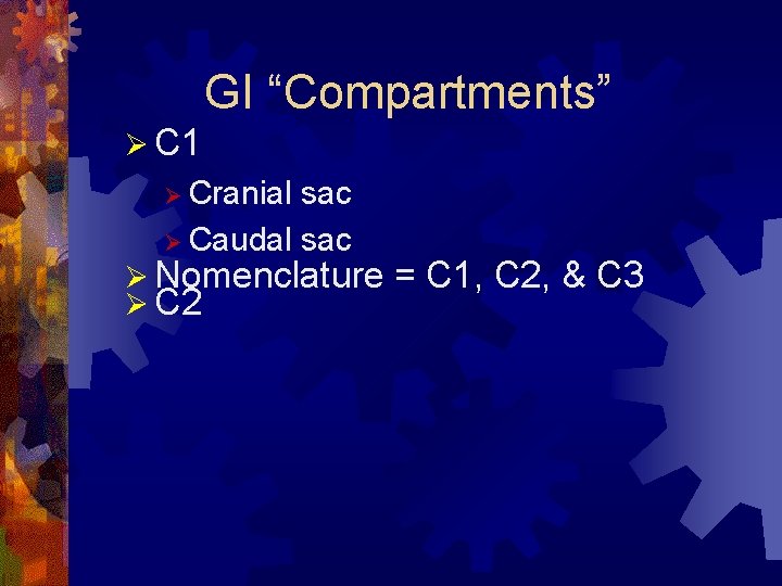 GI “Compartments” Ø C 1 Ø Cranial sac Ø Caudal sac Ø Nomenclature Ø