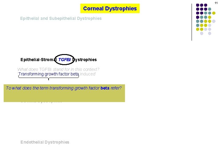 11 Corneal Dystrophies Epithelial and Subepithelial Dystrophies Epithelial-Stromal TGFBI Dystrophies What does TGFBI stand