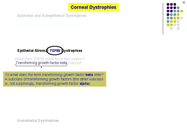 12 Corneal Dystrophies Epithelial and Subepithelial Dystrophies Epithelial-Stromal TGFBI Dystrophies What does TGFBI stand