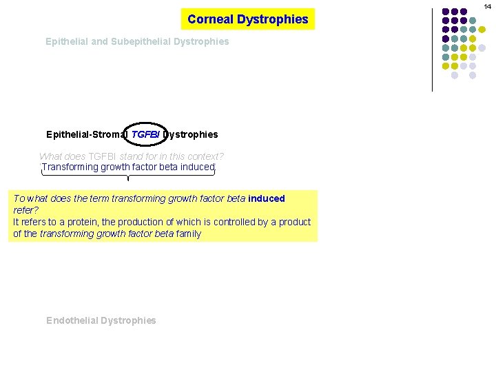 14 Corneal Dystrophies Epithelial and Subepithelial Dystrophies Epithelial-Stromal TGFBI Dystrophies What does TGFBI stand