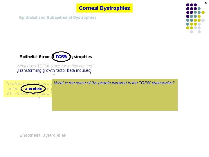 15 Corneal Dystrophies Epithelial and Subepithelial Dystrophies Epithelial-Stromal TGFBI Dystrophies What does TGFBI stand