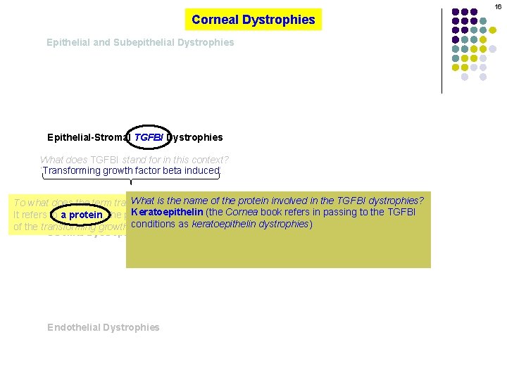 16 Corneal Dystrophies Epithelial and Subepithelial Dystrophies Epithelial-Stromal TGFBI Dystrophies What does TGFBI stand