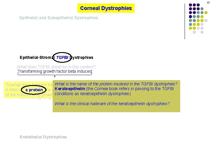 17 Corneal Dystrophies Epithelial and Subepithelial Dystrophies Epithelial-Stromal TGFBI Dystrophies What does TGFBI stand