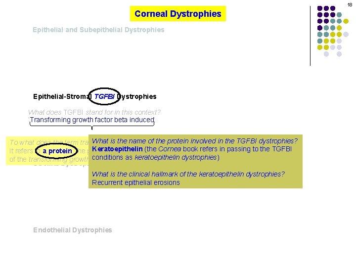 18 Corneal Dystrophies Epithelial and Subepithelial Dystrophies Epithelial-Stromal TGFBI Dystrophies What does TGFBI stand