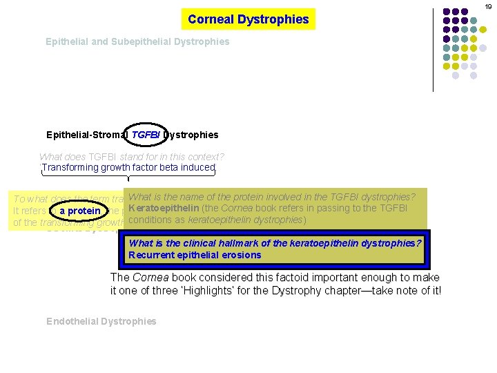 19 Corneal Dystrophies Epithelial and Subepithelial Dystrophies Epithelial-Stromal TGFBI Dystrophies What does TGFBI stand