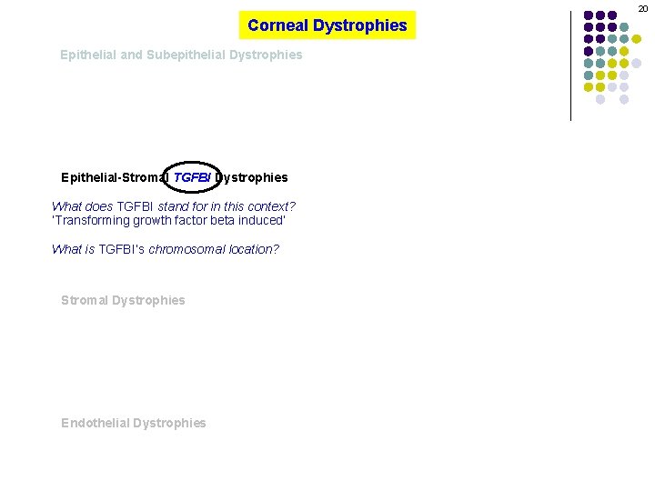 20 Corneal Dystrophies Epithelial and Subepithelial Dystrophies Epithelial-Stromal TGFBI Dystrophies What does TGFBI stand