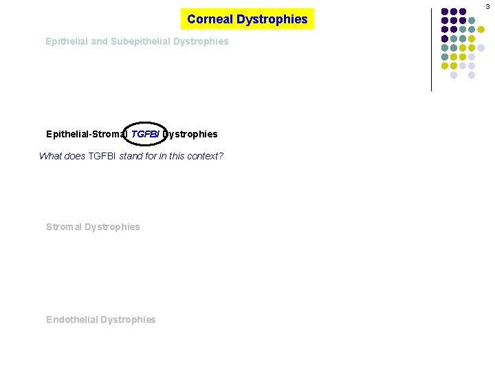 3 Corneal Dystrophies Epithelial and Subepithelial Dystrophies Epithelial-Stromal TGFBI Dystrophies What does TGFBI stand