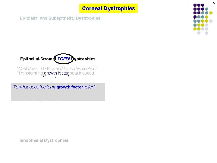 5 Corneal Dystrophies Epithelial and Subepithelial Dystrophies Epithelial-Stromal TGFBI Dystrophies What does TGFBI stand