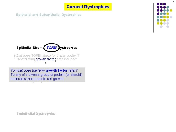 6 Corneal Dystrophies Epithelial and Subepithelial Dystrophies Epithelial-Stromal TGFBI Dystrophies What does TGFBI stand