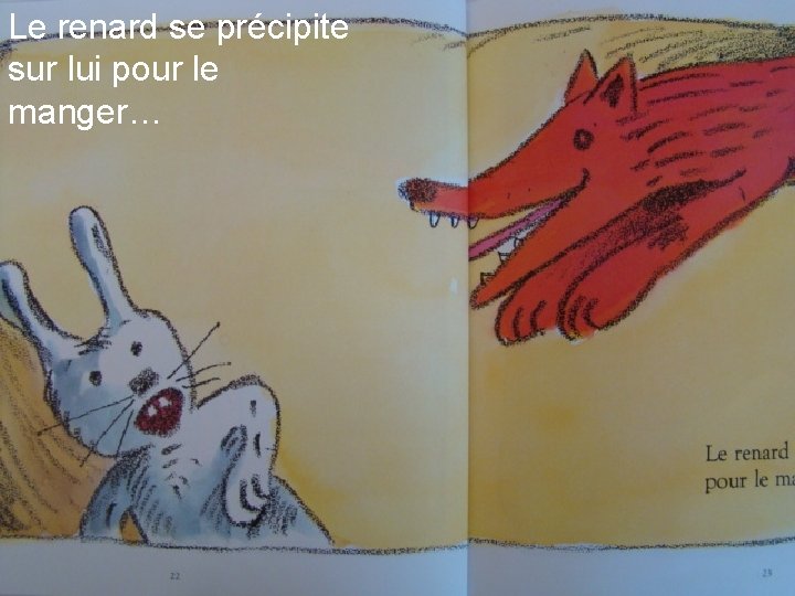 Le renard se précipite sur lui pour le manger… 