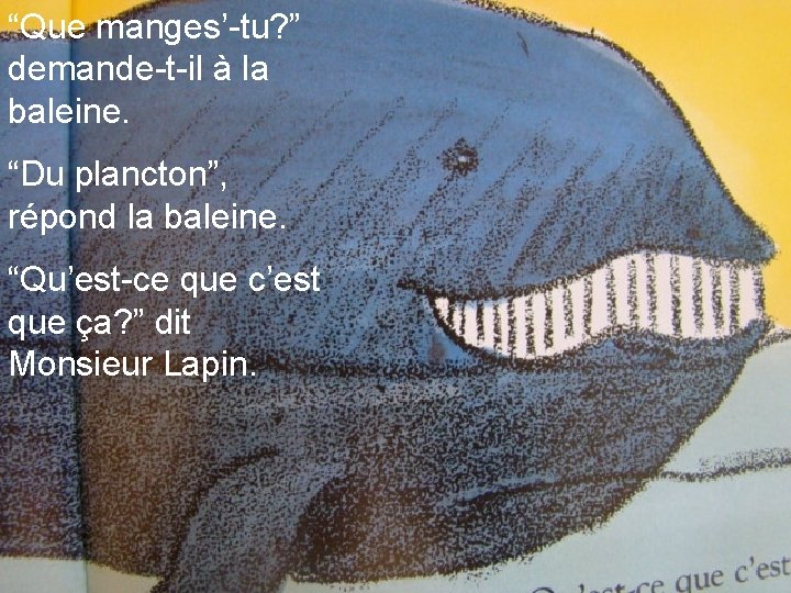 “Que manges’-tu? ” demande-t-il à la baleine. “Du plancton”, répond la baleine. “Qu’est-ce que