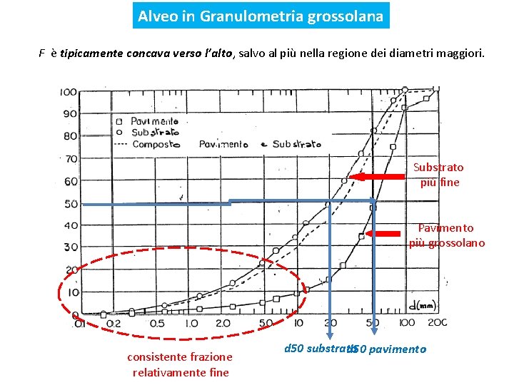 Alveo in Granulometria grossolana F è tipicamente concava verso l’alto, salvo al più nella