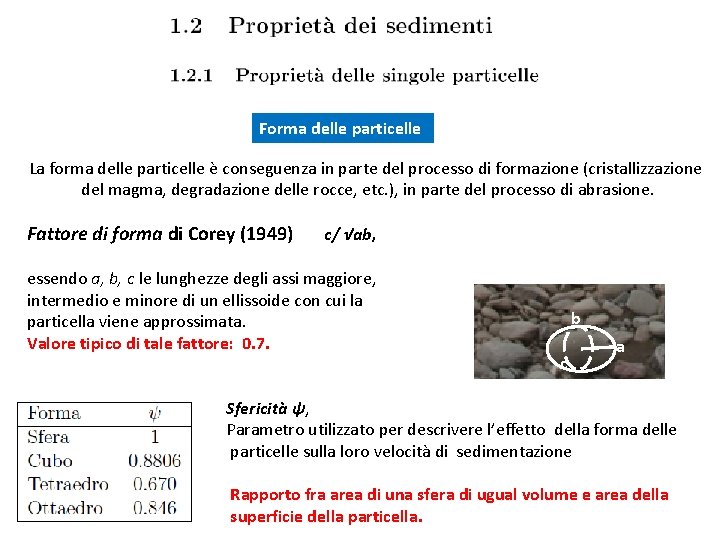 Forma delle particelle La forma delle particelle è conseguenza in parte del processo di