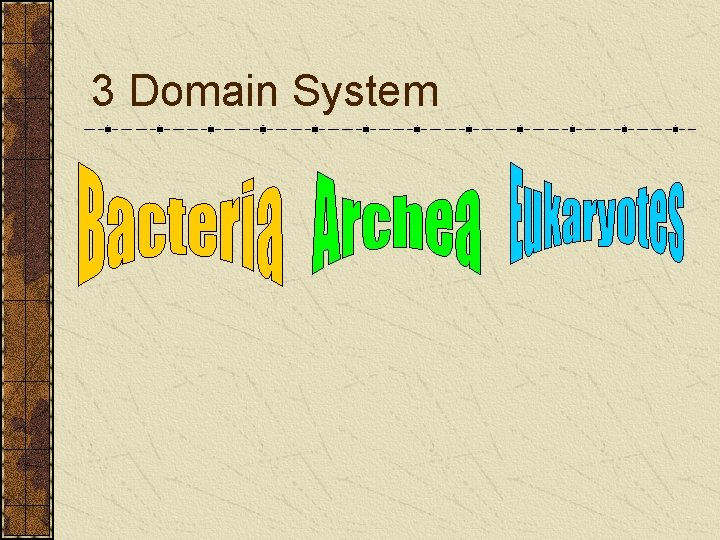 3 Domain System 3 Domain System
