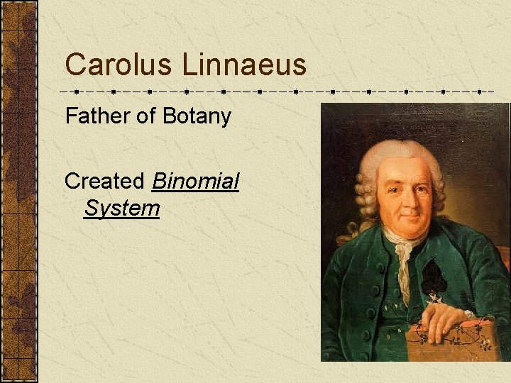 Carolus Linnaeus Father of Botany Created Binomial System Carolus Linnaeus Father of Botany Created Binomial System