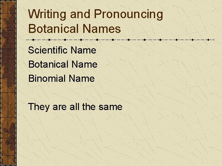 Writing and Pronouncing Botanical Names Scientific Name Botanical Name Binomial Name They are all Writing and Pronouncing Botanical Names Scientific Name Botanical Name Binomial Name They are all