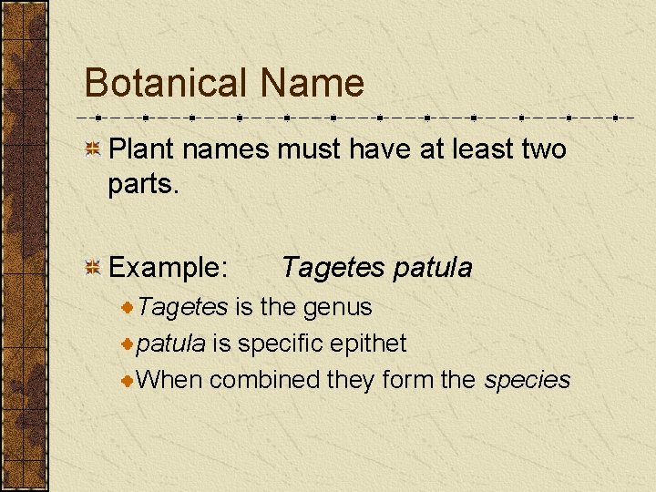 Botanical Name Plant names must have at least two parts. Example: Tagetes patula Tagetes Botanical Name Plant names must have at least two parts. Example: Tagetes patula Tagetes