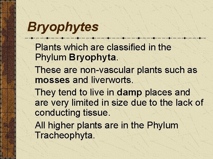 Bryophytes Plants which are classified in the Phylum Bryophyta. These are non-vascular plants such Bryophytes Plants which are classified in the Phylum Bryophyta. These are non-vascular plants such