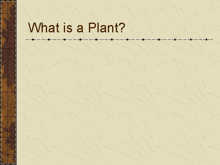 What is a Plant? What is a Plant?