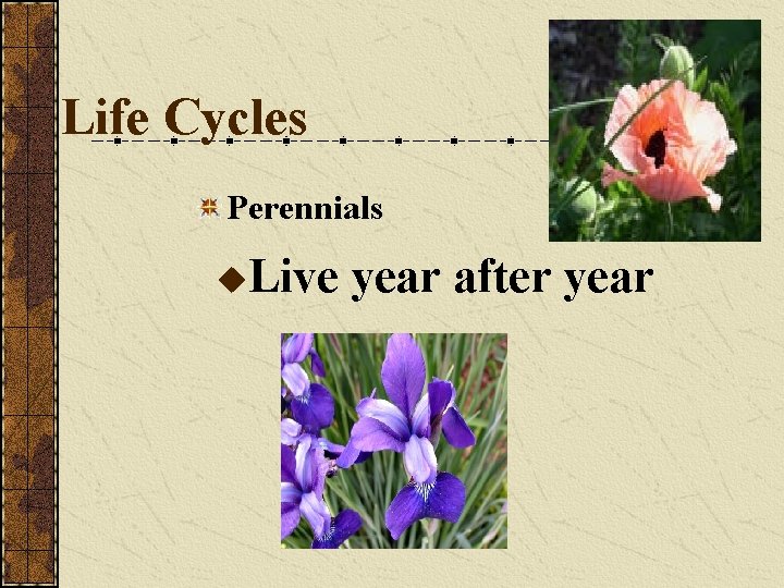 Life Cycles Perennials u. Live year after year Life Cycles Perennials u. Live year after year