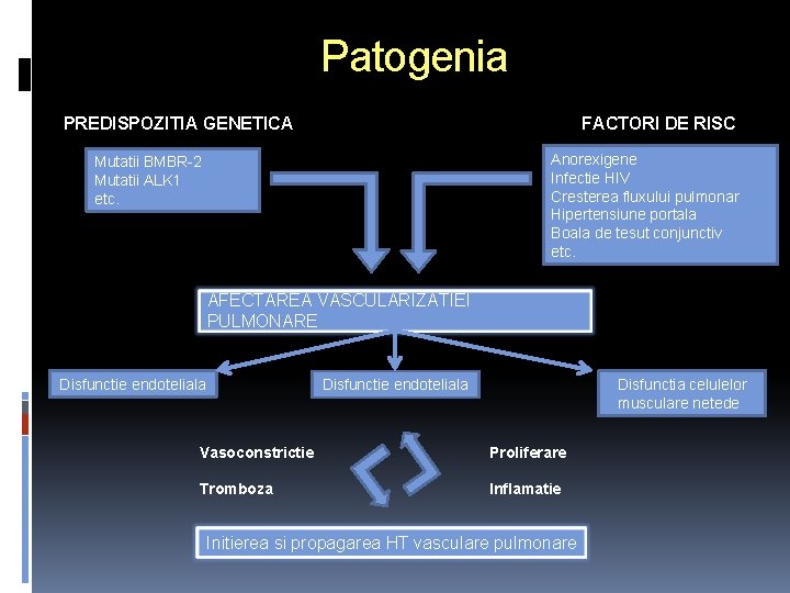 Patogenia PREDISPOZITIA GENETICA FACTORI DE RISC Anorexigene Infectie HIV Cresterea fluxului pulmonar Hipertensiune portala
