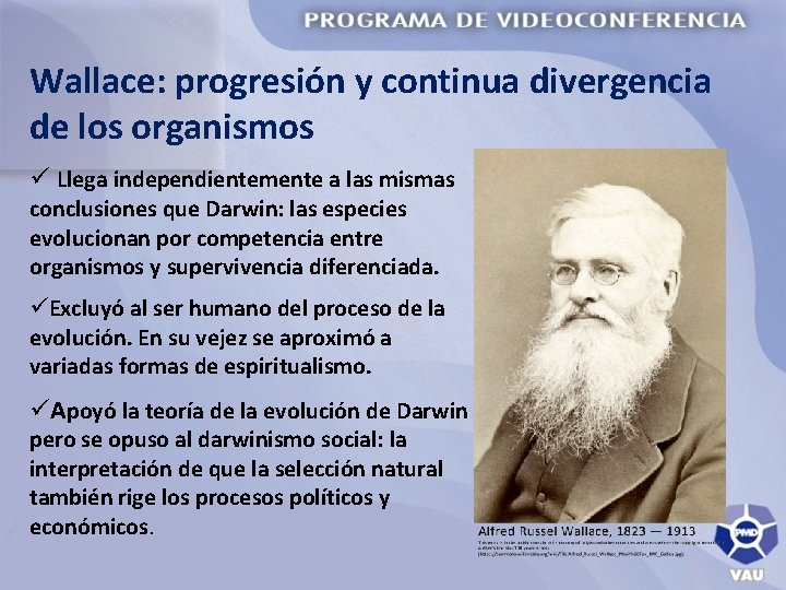 Wallace: progresión y continua divergencia de los organismos ü Llega independientemente a las mismas