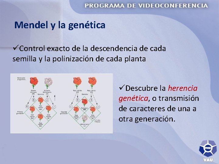 Mendel y la genética üControl exacto de la descendencia de cada semilla y la