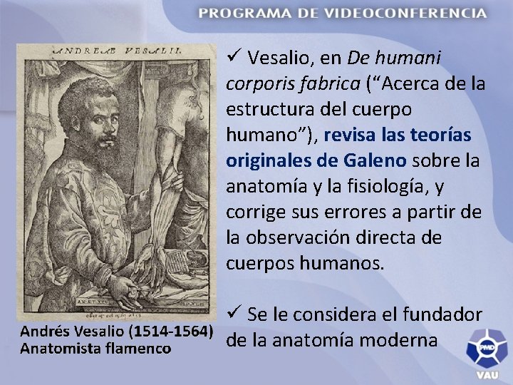 ü Vesalio, en De humani corporis fabrica (“Acerca de la estructura del cuerpo humano”),