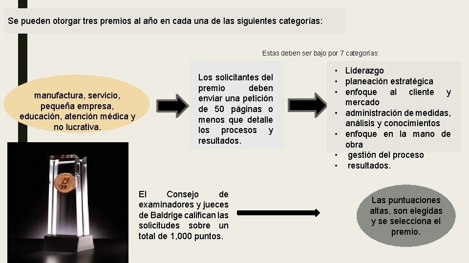 Se pueden otorgar tres premios al año en cada una de las siguientes categorías: