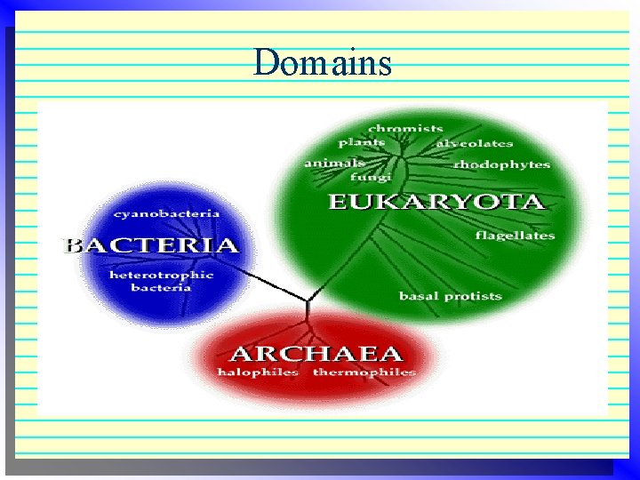 Domains Domains