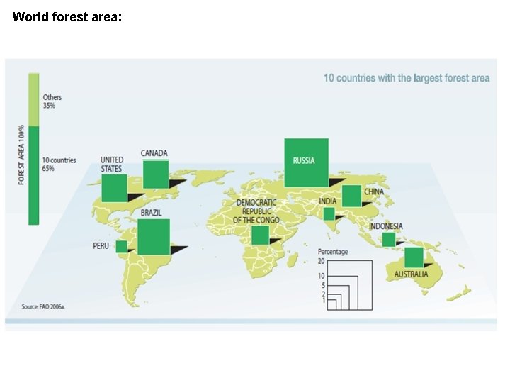World forest area: 