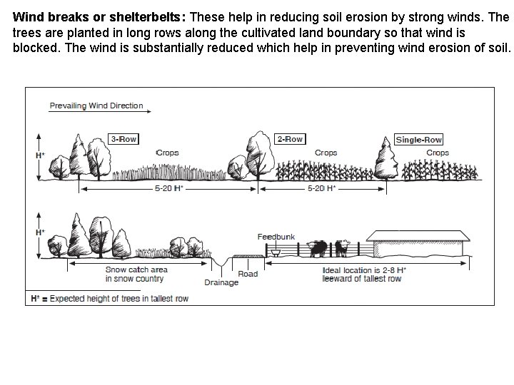 Wind breaks or shelterbelts: These help in reducing soil erosion by strong winds. The
