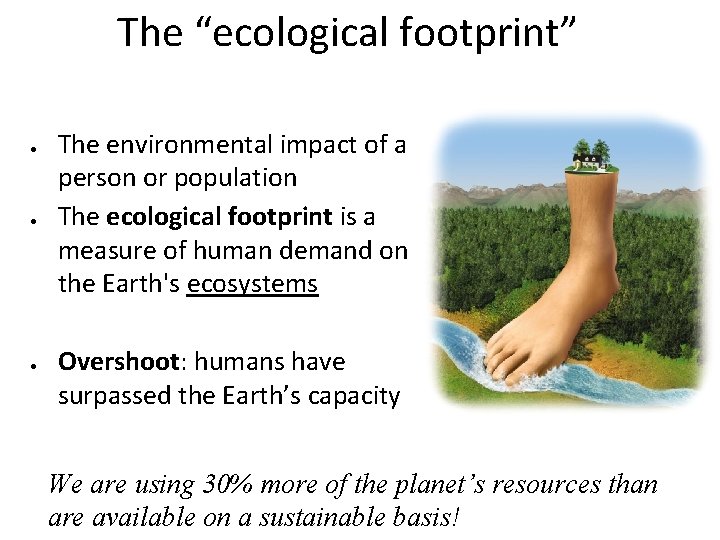 The “ecological footprint” The environmental impact of a person or population The ecological footprint