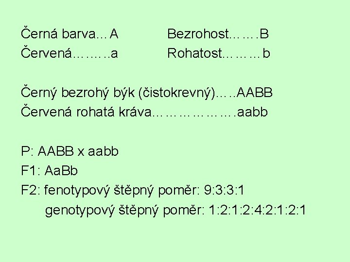 Černá barva…A Červená…. …. . a Bezrohost……. B Rohatost………b Černý bezrohý býk (čistokrevný)…. .