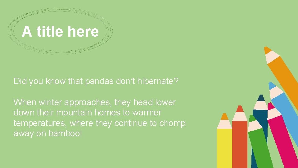 A title here Did you know that pandas don’t hibernate? When winter approaches, they
