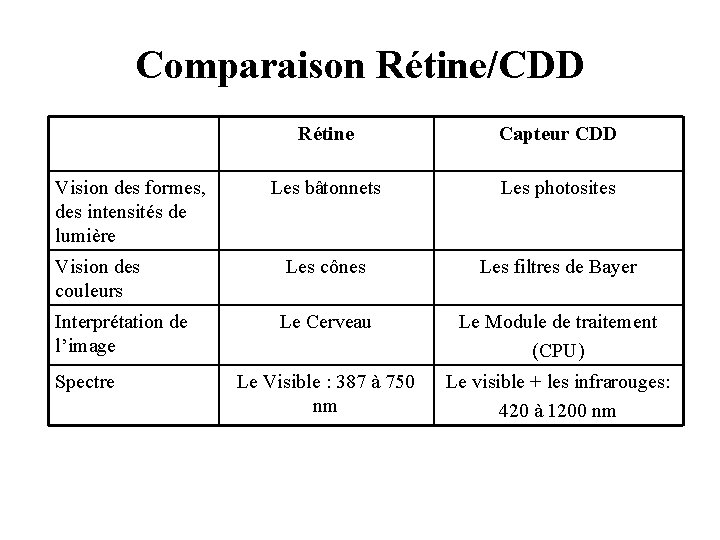 Comparaison Rétine/CDD Vision des formes, des intensités de lumière Vision des couleurs Interprétation de