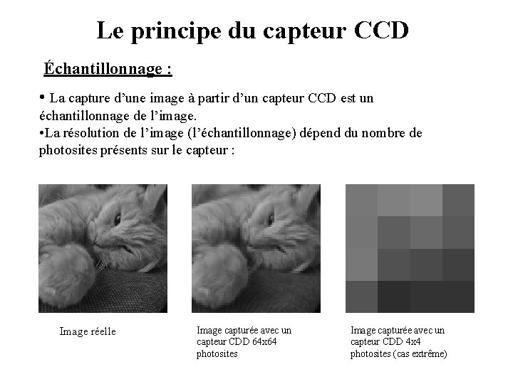 Le principe du capteur CCD Échantillonnage : • La capture d’une image à partir