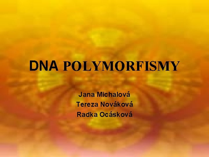 DNA POLYMORFISMY Jana Michalová Tereza Nováková Radka Ocásková 