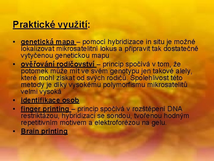 Praktické využití: • genetická mapa – pomocí hybridizace in situ je možné lokalizovat mikrosatelitní